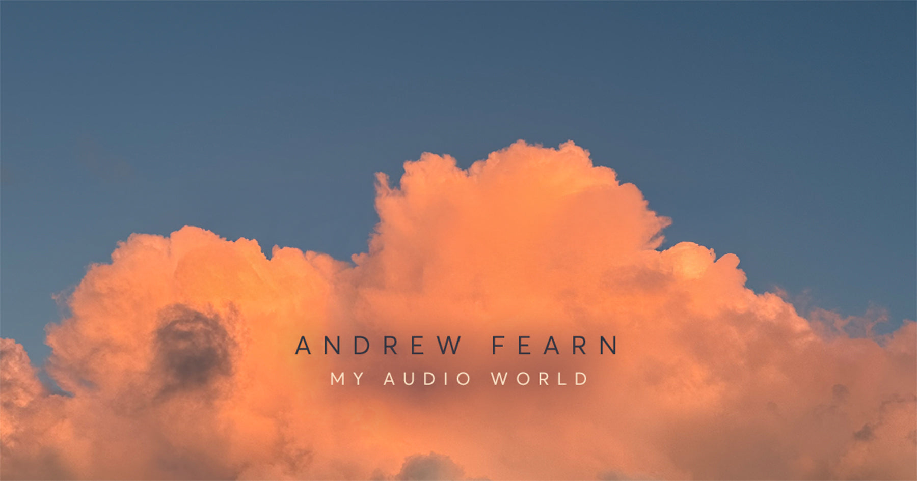 Sleaford Mods - Andrew Fearn