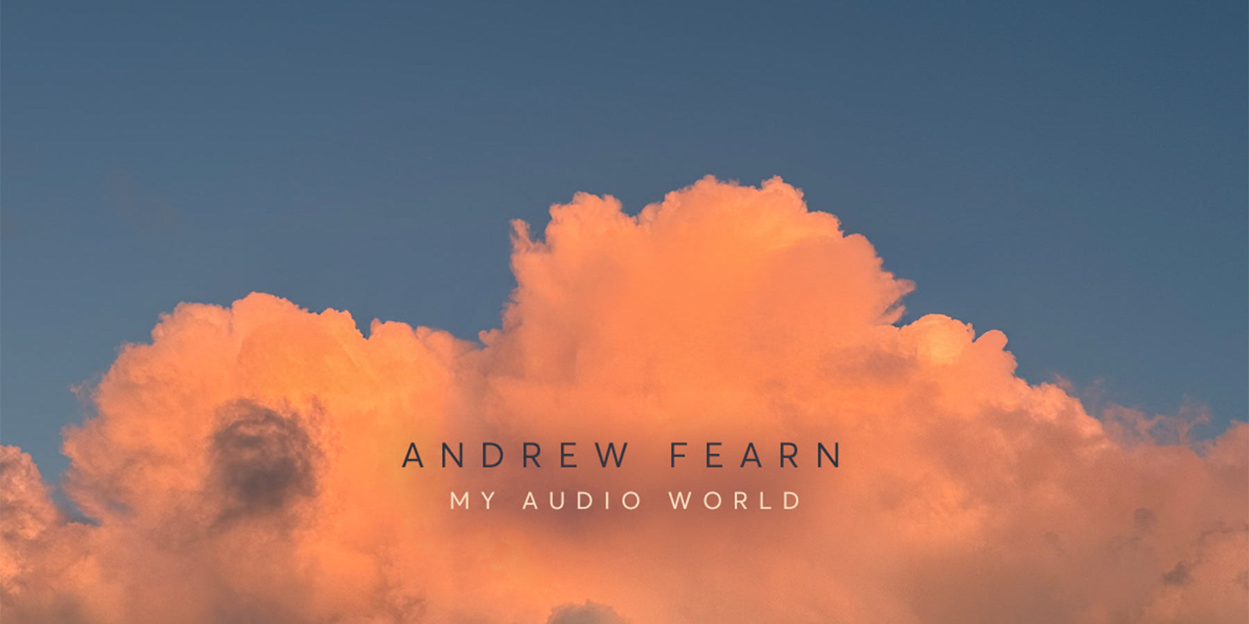 Sleaford Mods - Andrew Fearn