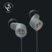 E-Prototype IEM
