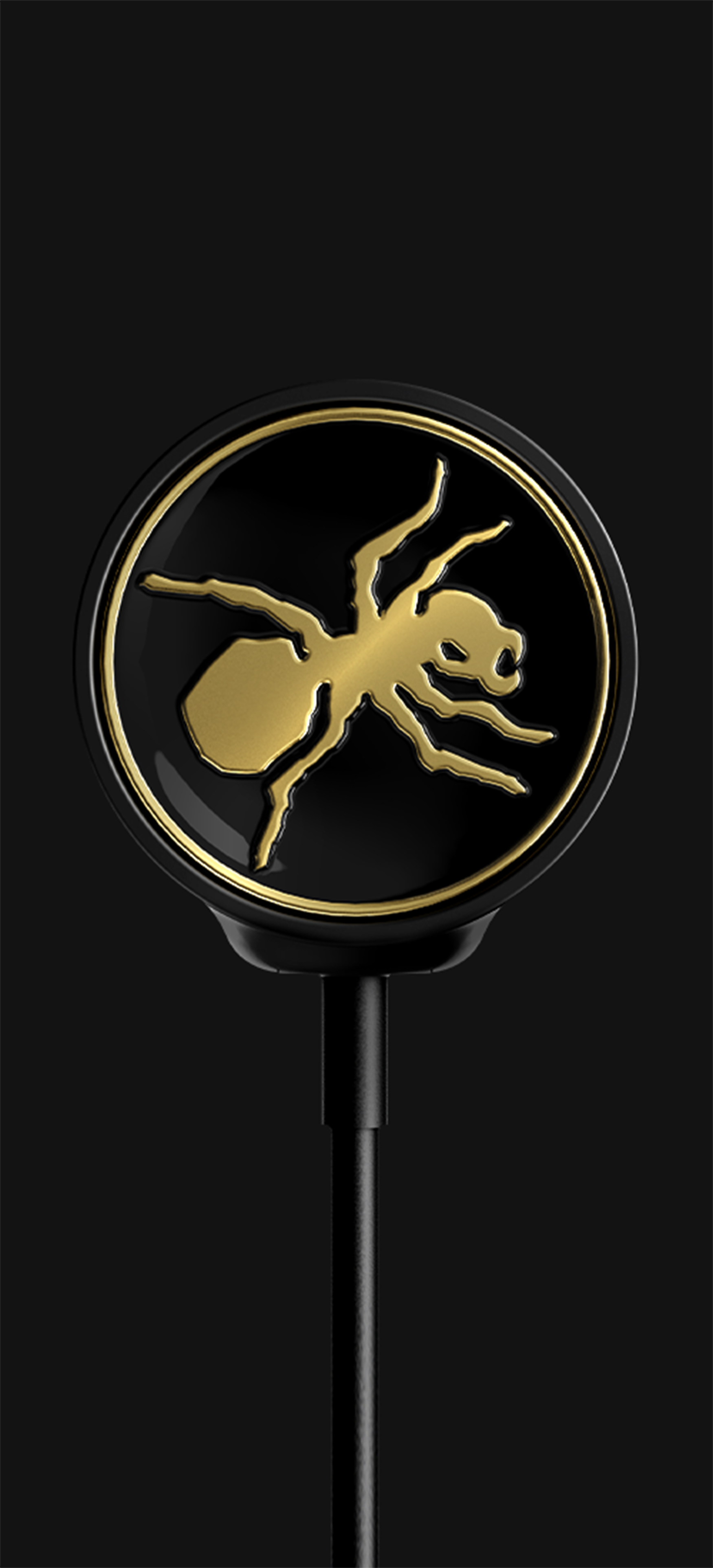 Prodigy_Badge_131313.png